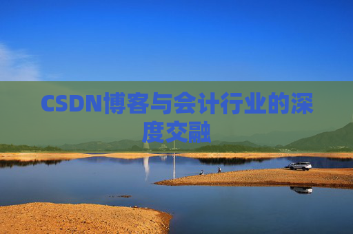 CSDN博客与会计行业的深度交融