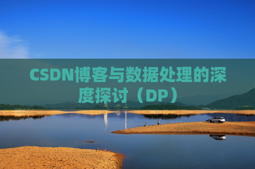 CSDN博客与数据处理的深度探讨（DP）